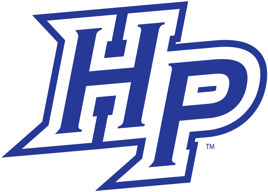 High Point Panthers 2004-2011 Alternate Logo 02 iron on paper